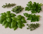 8 Best Substitutes for Sweet Basil in Cooking