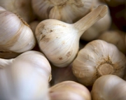 Need to Buy Bulk Crushed Garlic? Why Consider Dorot Gardens!