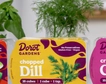6 Best Substitutes for Fresh Dill