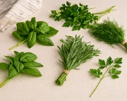 7 Best Alternatives for Tarragon in Everyday Cooking