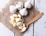 Testing and Tasting the Most Convenient-to-Use Garlic Ever