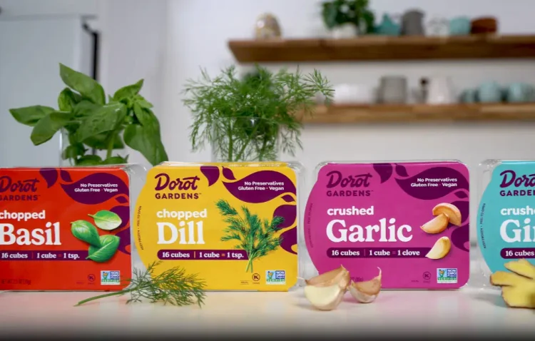 Chopped Frozen Dill Trays