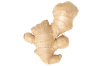 Dorot Ginger Mini Me