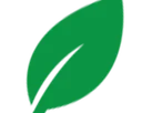 Green Goddess