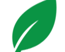 Green Goddess